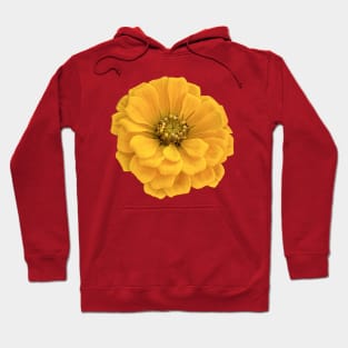 Zippy Zinnia Hoodie